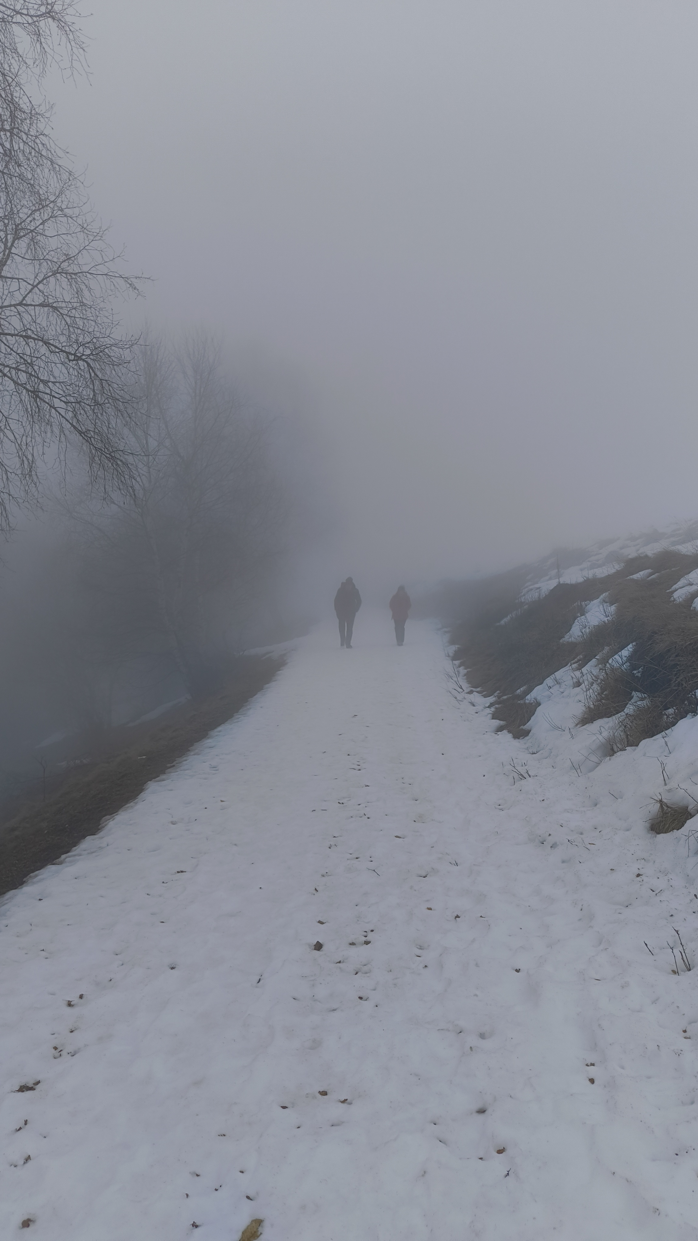 Foto n° 2 del trekking Monte Muggio Innevato